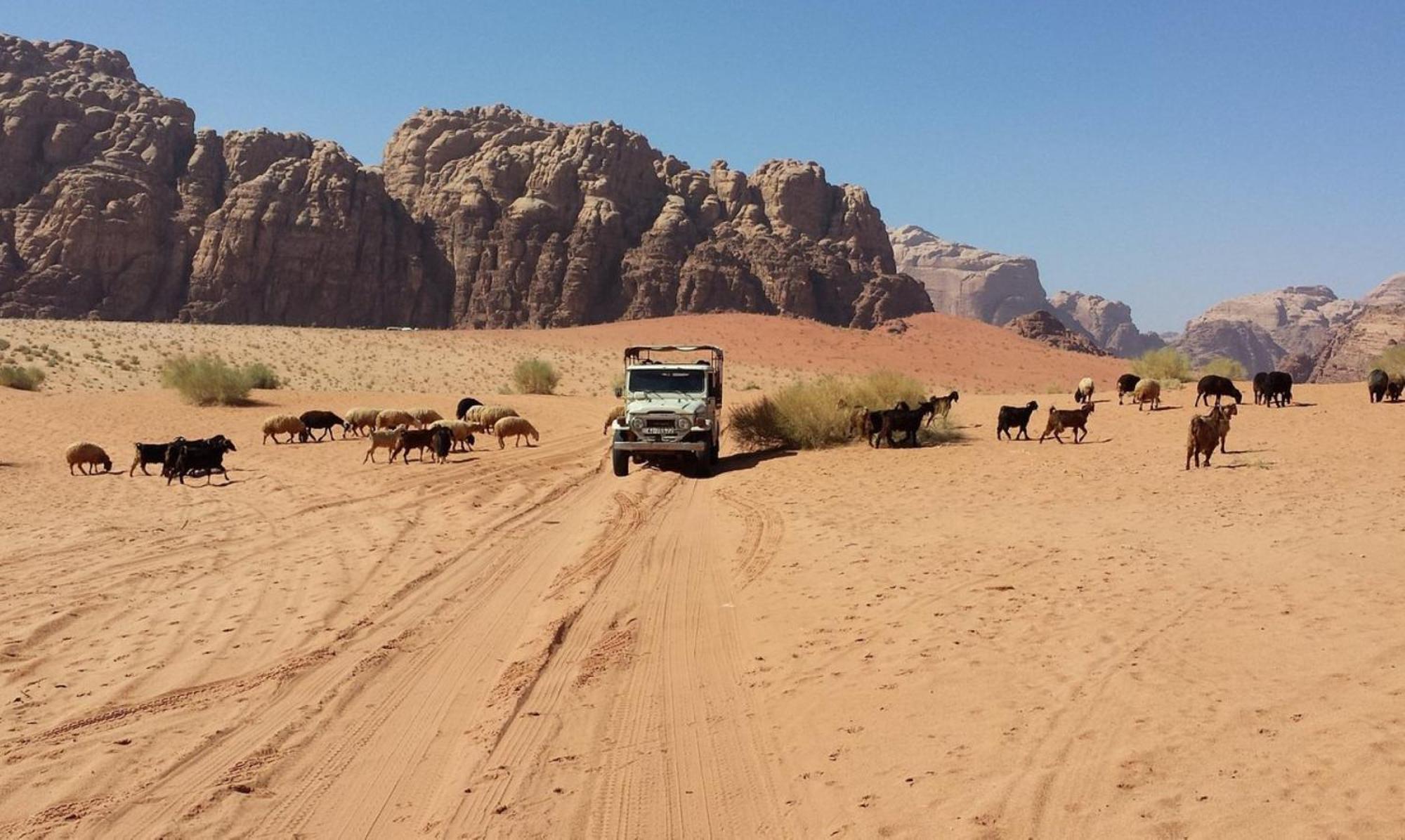 Safari Wadi Rum , Camp&tour Bagian luar foto